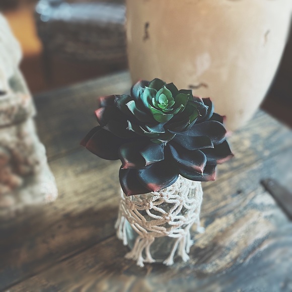 Faux Echeveria Succulent MacramΓ© Glass Bottle HPπ΅ - Picture 3 of 12